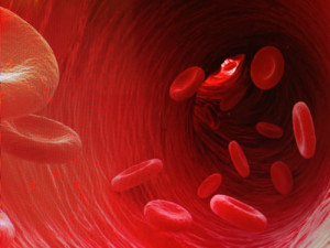 Placenta