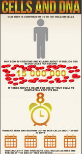 Cells and DNA